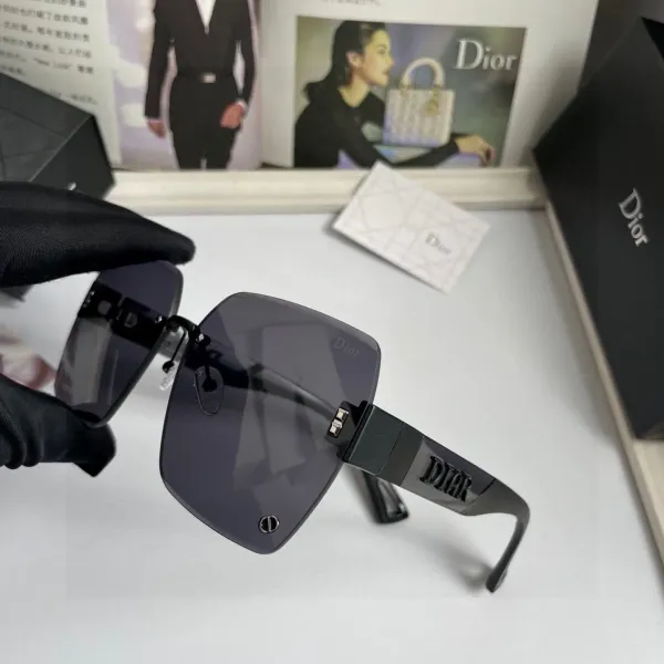 DIOR(  ディオール ) サングラス