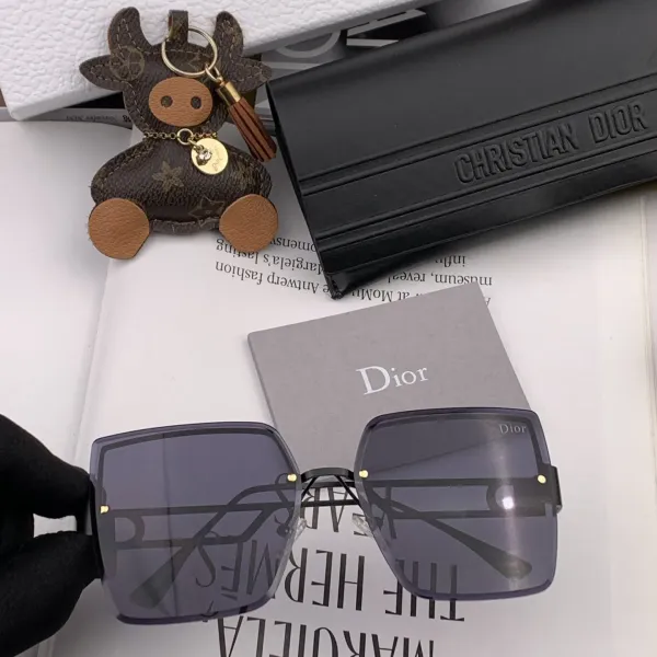 DIOR(  ディオール ) サングラス