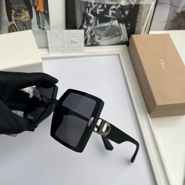 DIOR(  ディオール ) サングラス