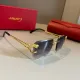 CARTIER(カルティエ) サングラス  241014