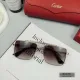 CARTIER( カルティエ) サングラス 24705